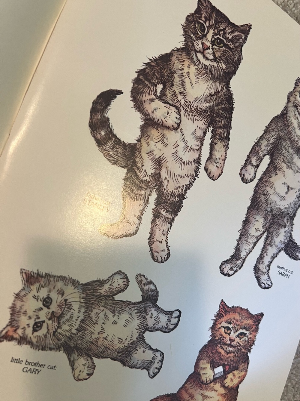 🐱 Cat Activity Bundle 🐈 - Picture 3 of 16